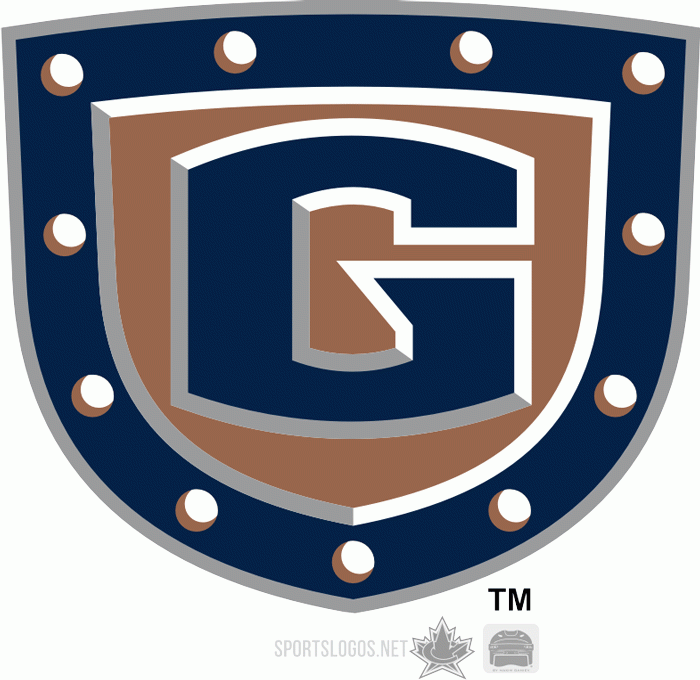 greenville road warriors 2010-pres alternate logo iron on heat transfer